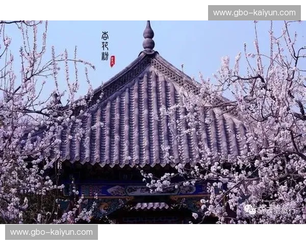 七夕双响炮：仙台的古韵与东京的潮范，哪一“夏”更让你心动？